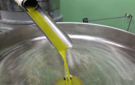 Olio di oliva sotto esame