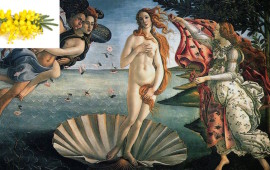 La nascita di Venere di Botticelli agli Uffizi con il simbolo della mimosa