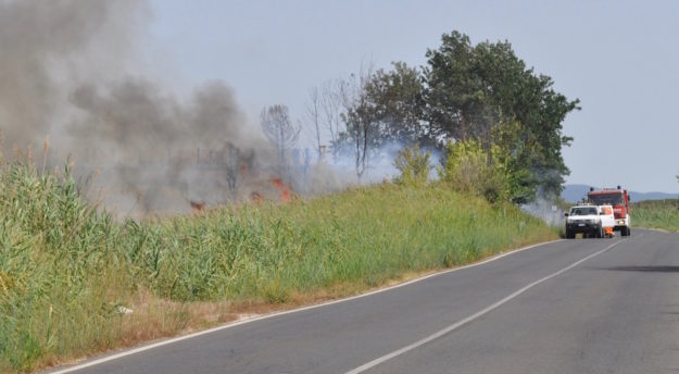 Record negativo di 59 incendi a Grosseto nel luglio 2016
