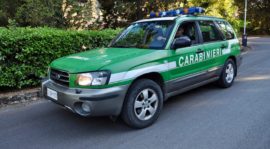 Gli automezzi dei Carabinieri già del Corpo Forestale hanno mantenuto il tradizionale colore verde