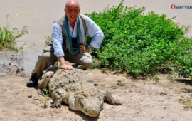 Nello stagno di Bazoulè in Burkina Faso i coccodrilli sfamati si lasciano fotografare dai turisti